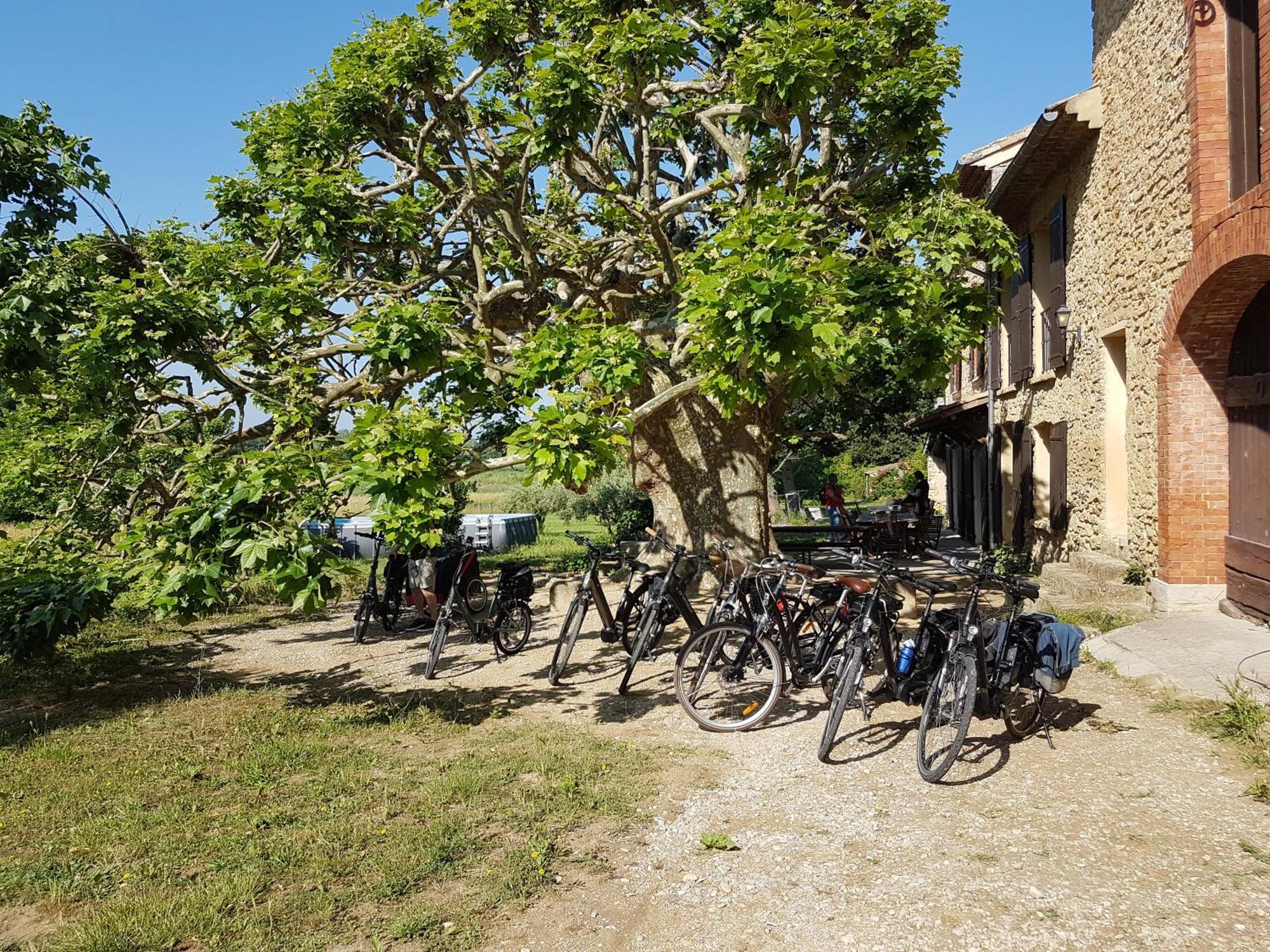 Mas Dans La Campagne Pour Loisirs Et Teletravail Vila Sarrians Exterior foto